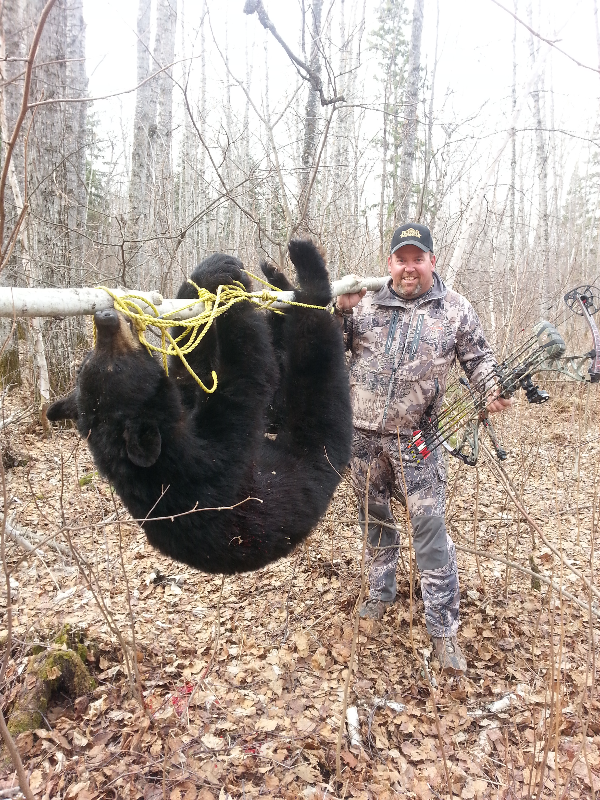 Black Bear Hunts - Saskatchewan - Clearview Outfitting